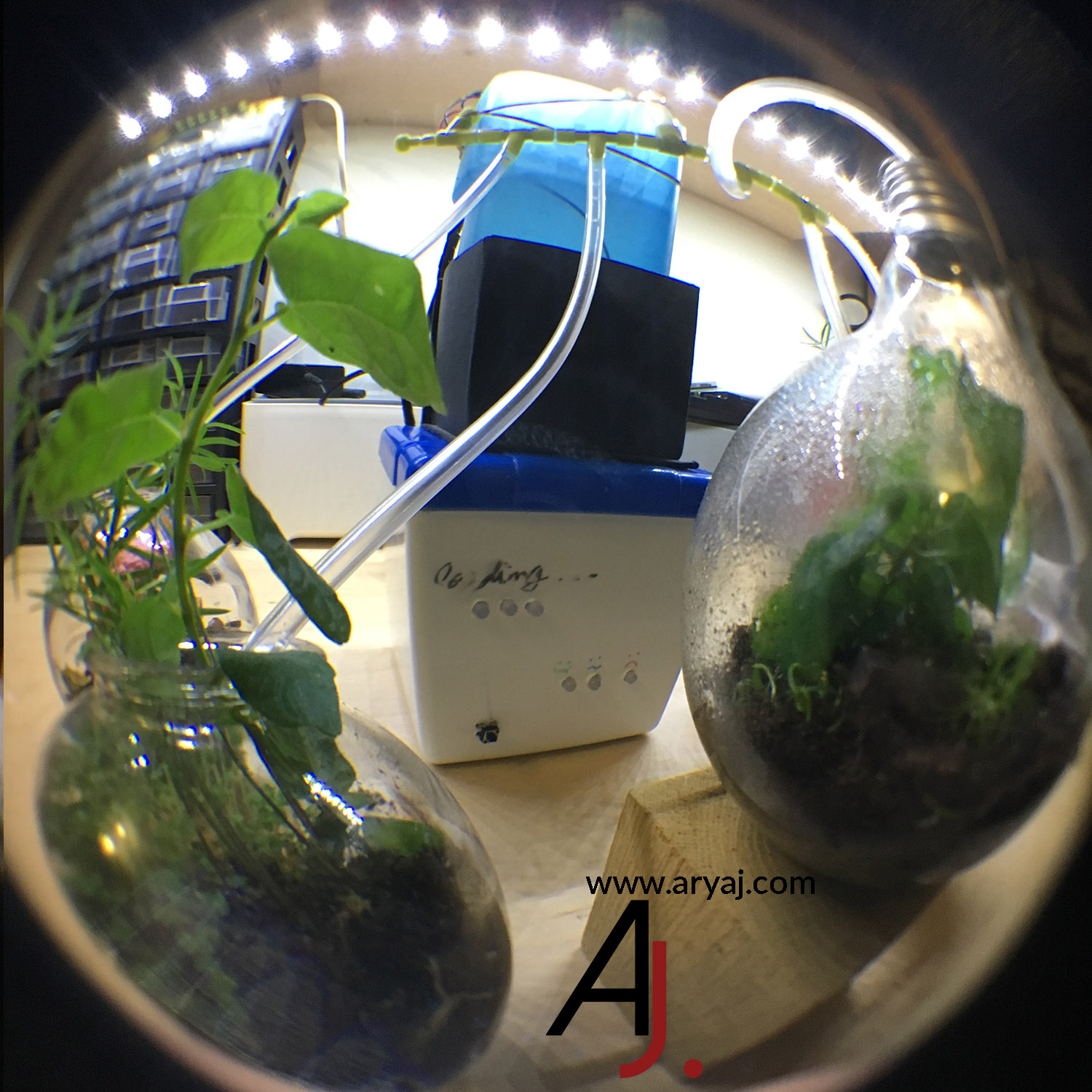  Simple Irrigation System fish eye picture 
